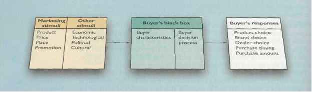 Models of Consumer Behaviour Consumer Buyer Behaviour