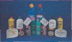 Brand Sponsor Sainsburys Novon