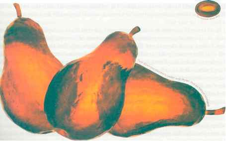 Enlightened Marketing