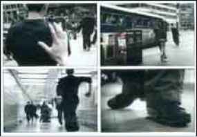 Cannes Festival Becomes the Olympic Games of Advertising