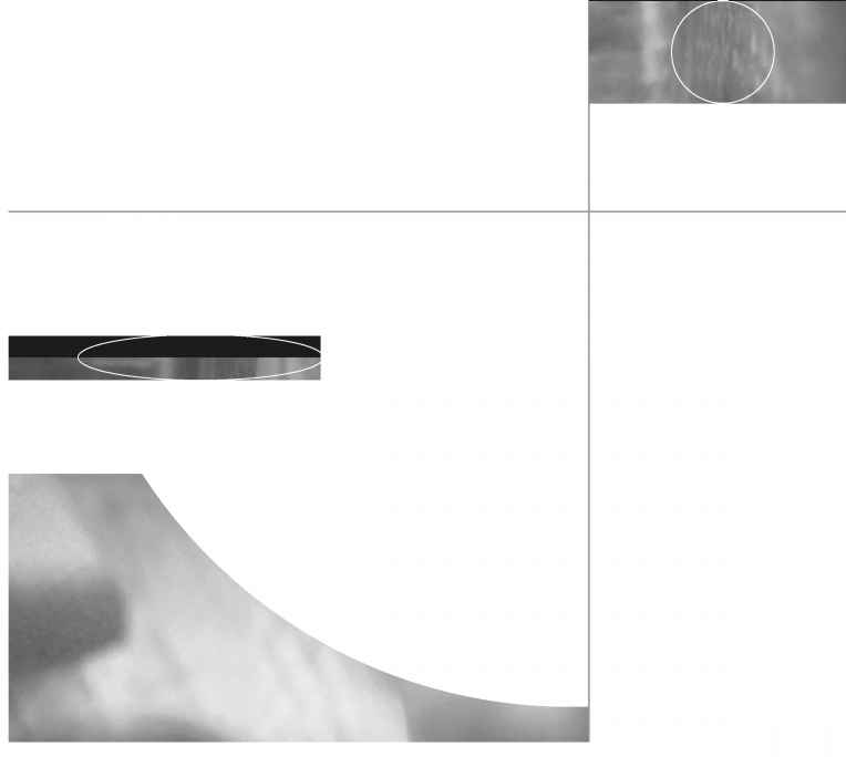 Organizations Also Vary in Readiness to Adopt Innovations Fareena Vijay