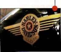 Loyal Then Loyalty Tattoo