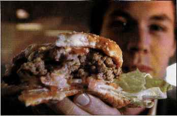 Harmful products Hardee being socially irresponsible simply practicing good marketing giving customers big juicy burger that clearly pings their taste buds Judging the nutrition calculator its Web site the company certainly isn hiding the nutritional facts Criteria For Judging Good Hamburger