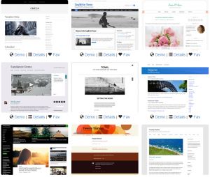 Website-themes-image