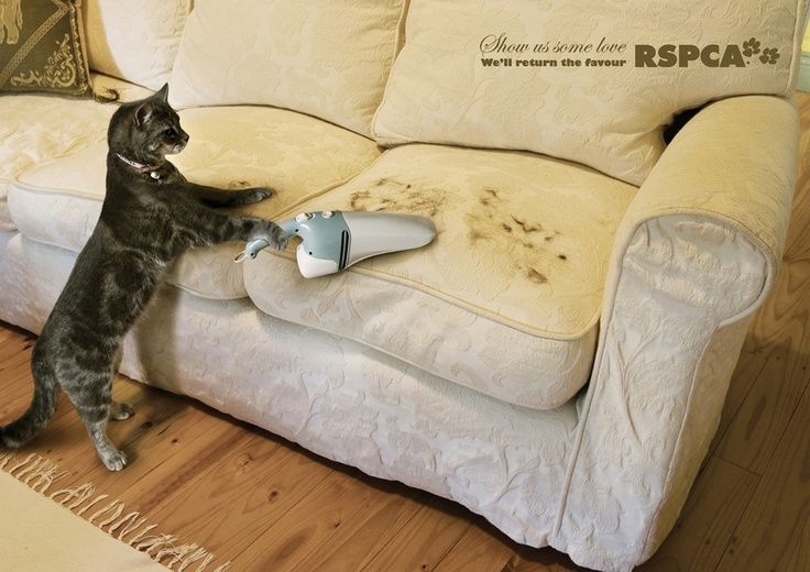 Funny Advertisement 5