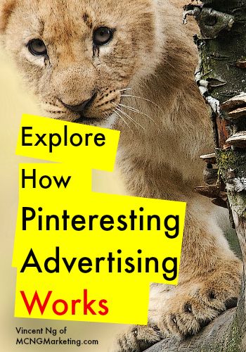 Explore How Pinterest Advertising Works by @mcngmarketing. In this article we explore the two different Pinterest promoted pins, and which one is right for your business. 