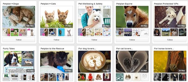 Pet Plan Insurance Australia Pinterest account.
