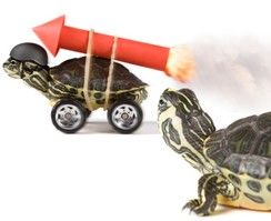 IStock_000008025420XSmall