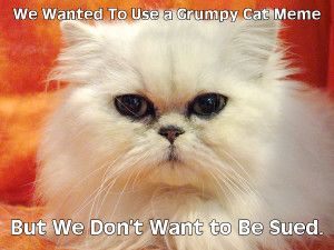 Non-Grumpy Cat Meme