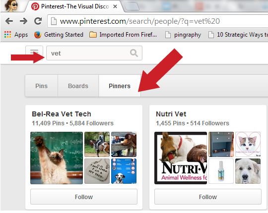 Pinterest for Veterinarians - Tips for Getting Started find-pinners