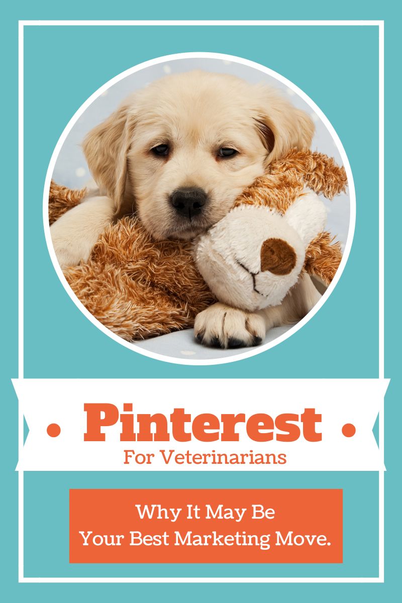 Why Pinterest is Great for Vet Practices