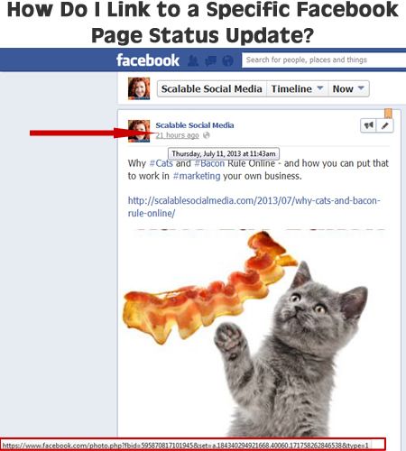 Link to a Facebook Page Status Update - How? find the link to a facebook status update printscreen