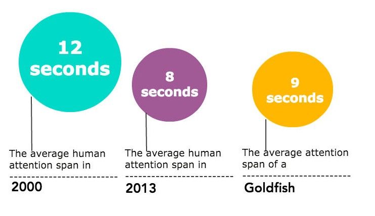 Human attention span