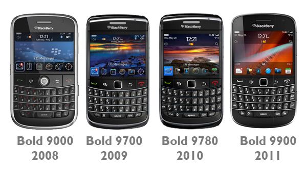 image source : blackberries