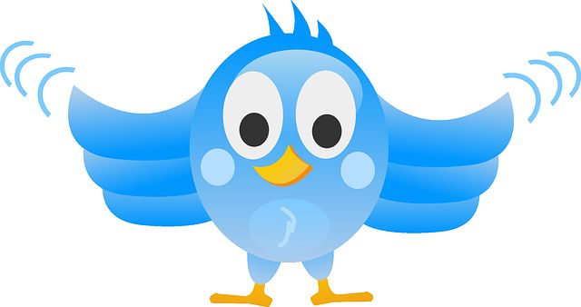 twitter icon bird