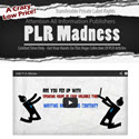 PLR Madness Review PLR Madness Review