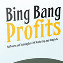 Bing Bang Profits Bing Bang Profits