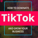 How to Dominate TikTok and Grow your Business How to Dominate TikTok and Grow your Business