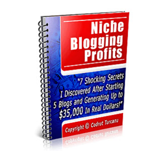 Niche Blogging Profits