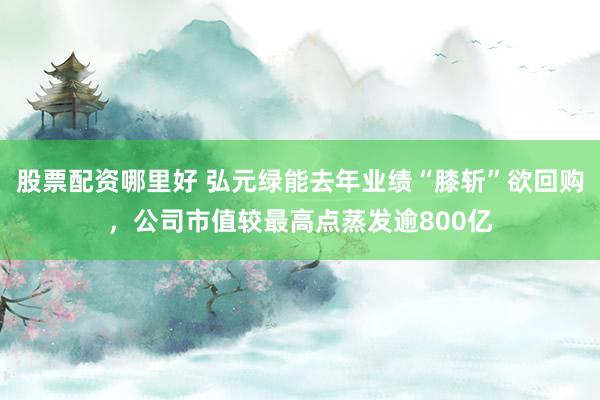 股票配资哪里好 弘元绿能去年业绩“膝斩”欲回购，公司市值较最高点蒸发逾800亿